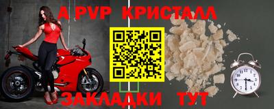 индика Дубна